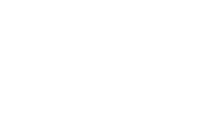 logo_bi